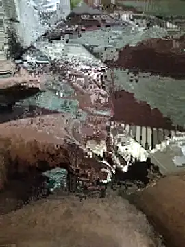 desiboyarya online show from March 10, 6:03 pm