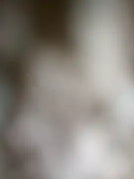 PARAJHONAAN online show from December 15, 8:33 am