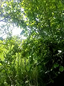 Wilsonn86 online show from May 22, 11:37 am