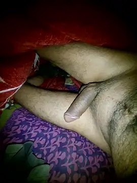 Desi Horny Boys online show from January 16, 4:32 pm