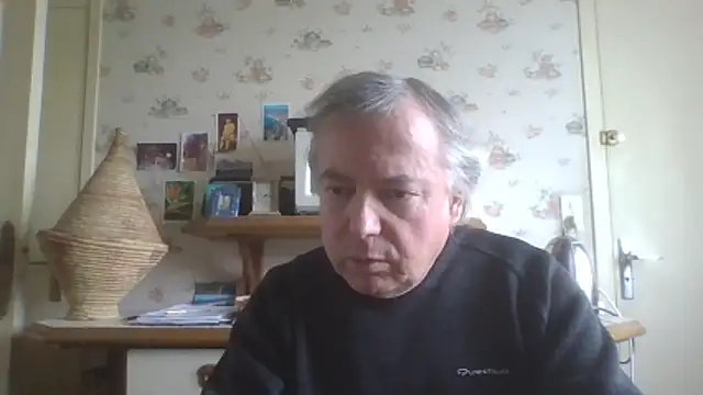 gegevincent online show from March 29, 2:28 pm