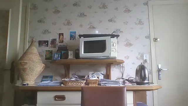 gegevincent online show from June 10, 11:34 am