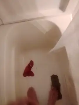 helldonk online show from February 5, 2:40 am