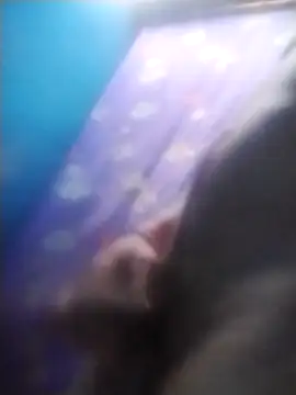 Karalxxx online show from October 25, 9:38 pm