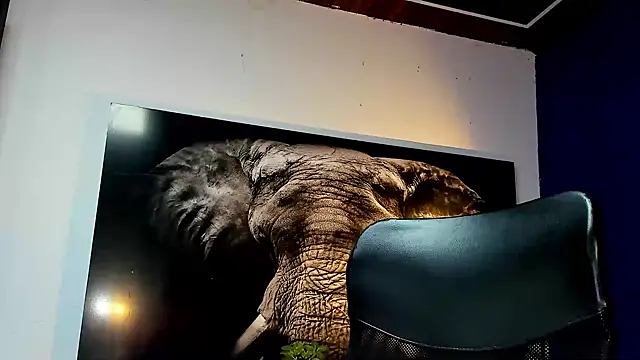 king falconer online show from November 27, 3:21 am