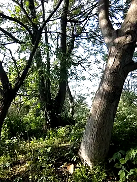 Prince-sexy online show from April 20, 3:25 pm