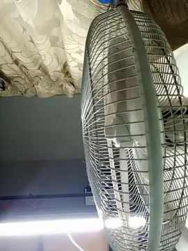 HarryChoudhary21 online show from November 3, 12:41 pm