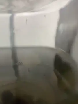 Snapshot of Can0601 chatting on November 1, 11:14 am Can0601 online show from November 1, 11:14 am