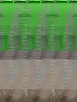 bigDick 000610 online show from October 31, 5:05 pm