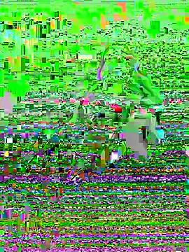 zackria online show from September 30, 8:51 am