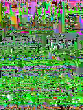 zackria online show from September 27, 6:22 am