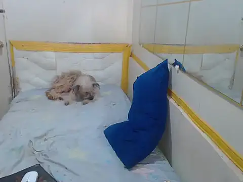 miss cumshotTs online show from November 30, 1:35 pm