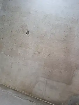 Snapshot of Sgaf39 chatting on September 14, 11:34 am Sgaf39 online show from September 14, 11:34 am