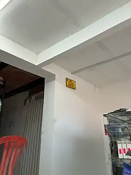 Terra-22cm online show from April 12, 1:34 pm