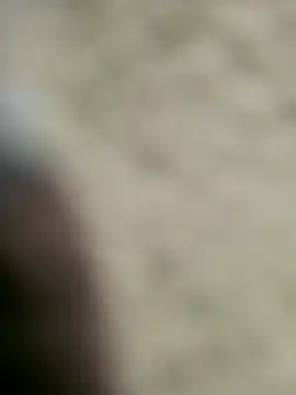 7awaY04 online show from October 17, 11:36 am