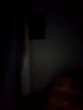 Snapshot of Bulbasaurisme chatting on October 3, 6:07 am Bulbasaurisme online show from October 3, 6:07 am