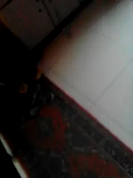 sotpornhub online show from September 9, 10:59 am