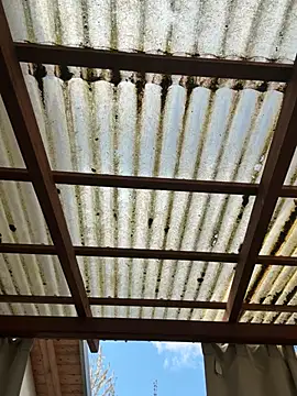 Gipsyboysteve online show from March 30, 12:06 pm