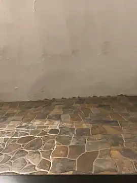 BrandonBlack online show from October 3, 4:28 am