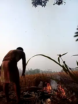 Johlrd online show from November 23, 12:54 am