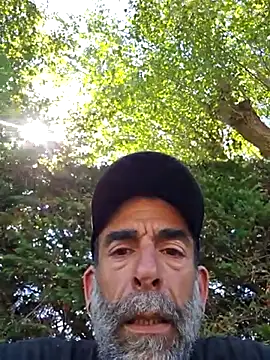 Stingles online show from August 7, 10:33 am