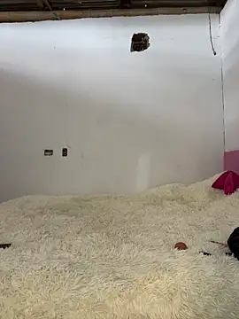 Alexis Spicter online show from December 13, 8:59 pm