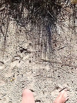 pegaso369 online show from October 1, 1:26 pm