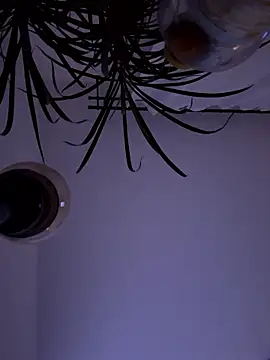 Jaropol online show from January 10, 1:22 am