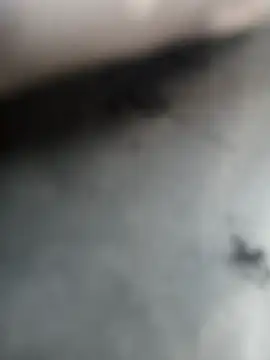 Axelitoc online show from October 1, 11:47 am