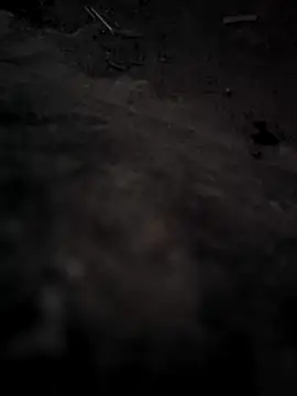 rajdehli online show from November 17, 11:57 am