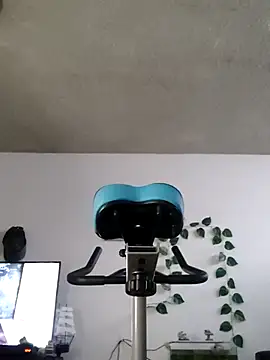 Sebitasxpasivo online show from January 8, 2:22 pm