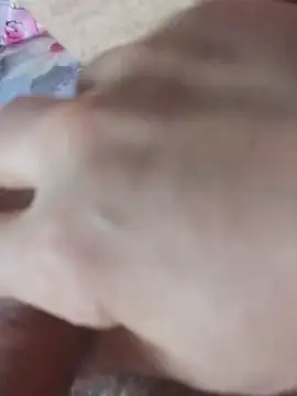 Hl1979 online show from February 24, 3:29 am