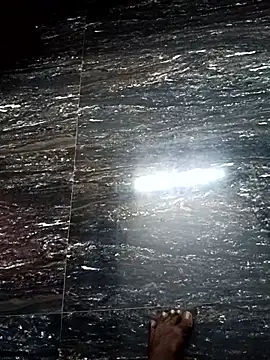 dolphiinn online show from November 28, 1:35 pm