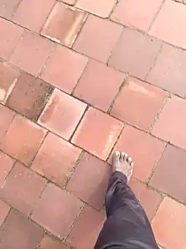 dolphiinn online show from November 19, 2:55 am