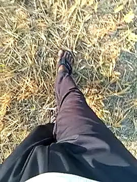 dolphiinn online show from April 1, 12:07 pm