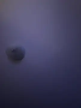 Troydaddy578 online show from April 1, 4:25 am