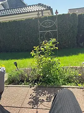 jovi Yeylo187 online show from April 21, 11:49 am