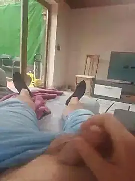 stunning stallion online show from September 9, 9:31 am