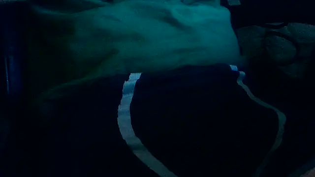 joserolabitas online show from September 20, 1:16 am