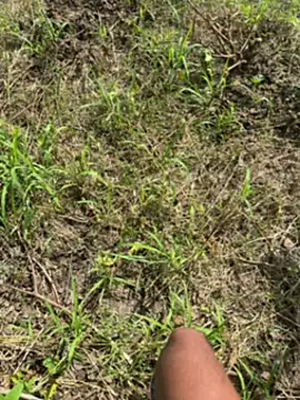 magraocam online show from April 14, 2:38 pm