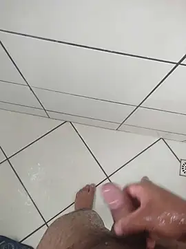 Novin23cms online show from December 3, 2:23 pm