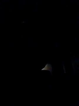 leehank01 online show from November 3, 3:25 pm