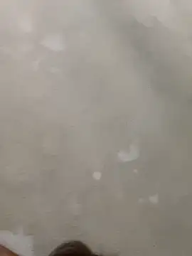 Doggy8668 online show from March 3, 7:43 pm