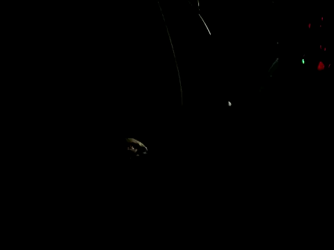 Snapshot of 011tasty chatting on September 13, 7:42 am 011tasty online show from September 13, 7:42 am