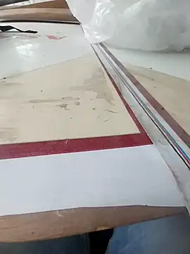 bisexdon online show from October 21, 8:50 am