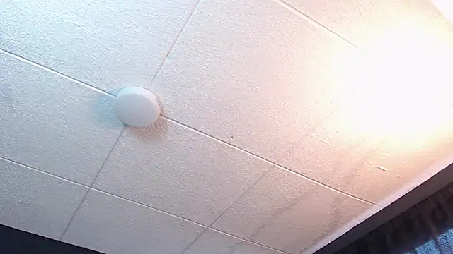 RichardMilleer online show from February 16, 1:42 pm