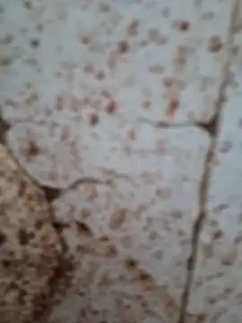 Snapshot of goodzx2 chatting on September 16, 12:50 pm goodzx2 online show from September 16, 12:50 pm