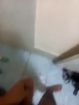 polla6459 online show from October 29, 7:55 am