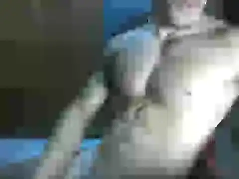 Snapshot of EntregadorDePau chatting on October 19, 2:20 pm EntregadorDePau online show from October 19, 2:20 pm