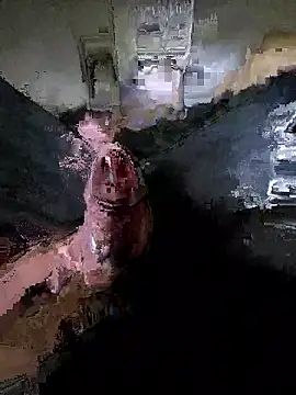 Snapshot of rezzzze chatting on October 13, 3:07 pm rezzzze online show from October 13, 3:07 pm